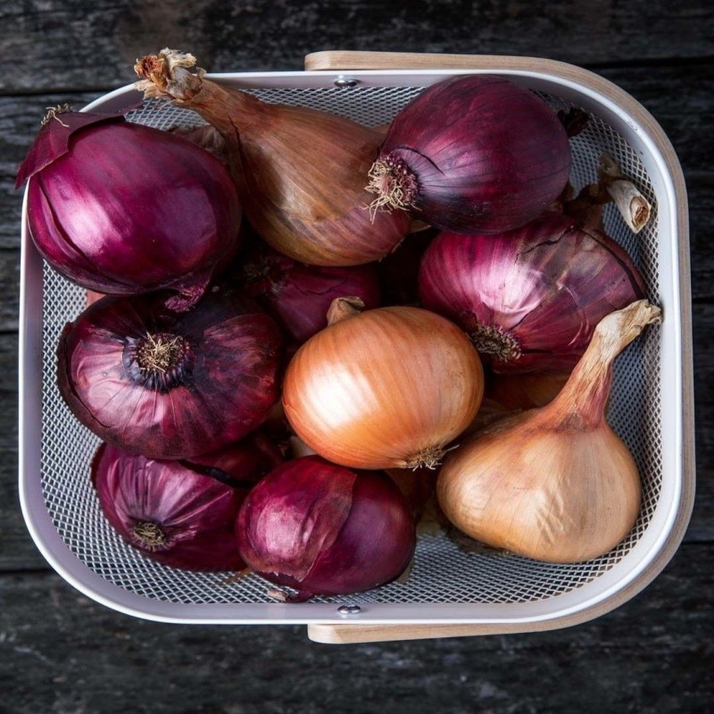 Onion